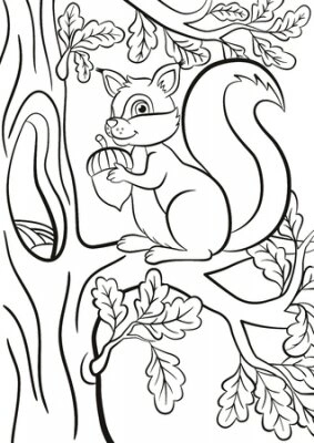 Little squirrel on a tree with an acorn coloring page